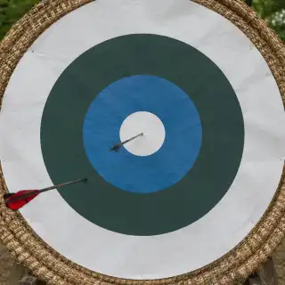Diana de tiro con dos flechas clavadas fuera del centro.