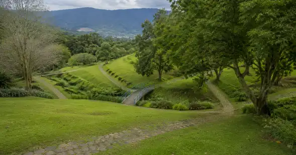 Varios senderos se bifurcan y vuelven a encontrarse a través de un amplio paisaje verde.